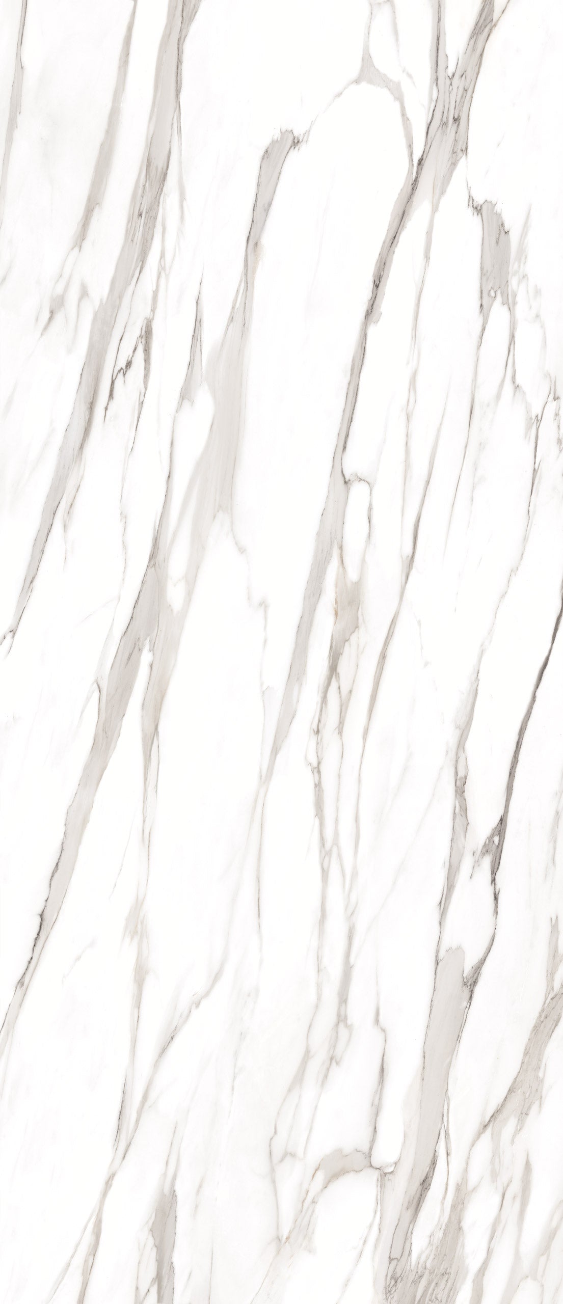 Marmi Calacatta Gold Canova (Full Lappato)