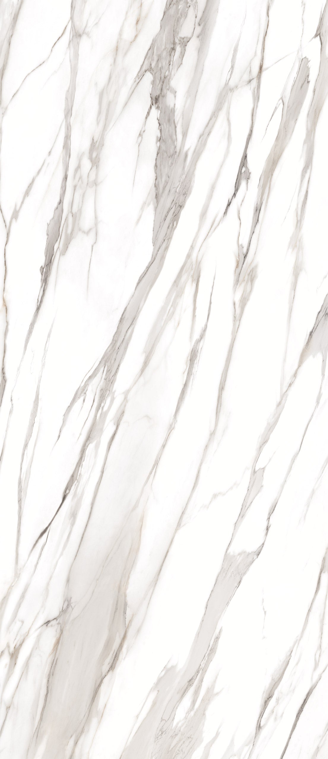Marmi Calacatta Gold Canova (Full Lappato)