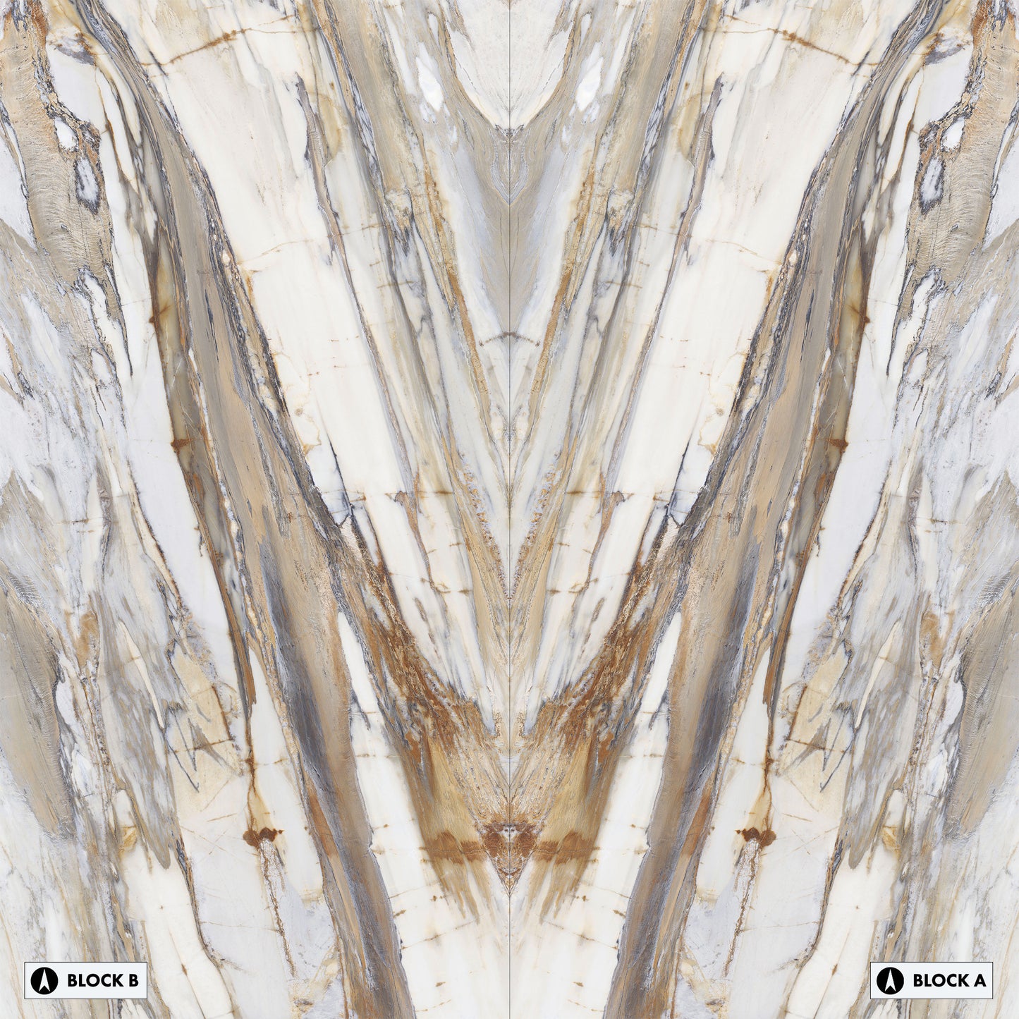 Marmi Calacatta Fossil Bookmatched (Full Lappato)