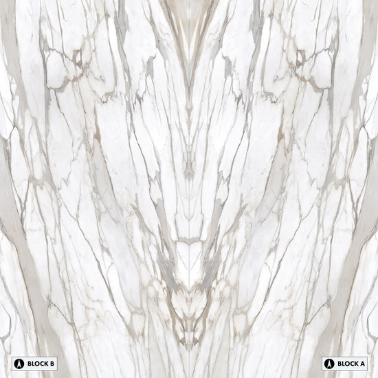 Marmi Calacatta Gold Canova Bookmatched (Full Lappato)