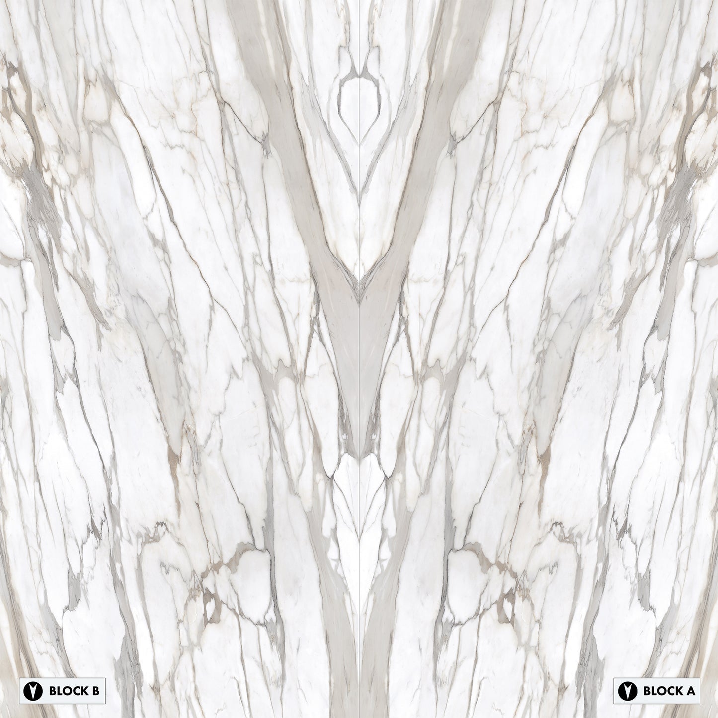 Marmi Calacatta Gold Canova Bookmatched (Full Lappato)