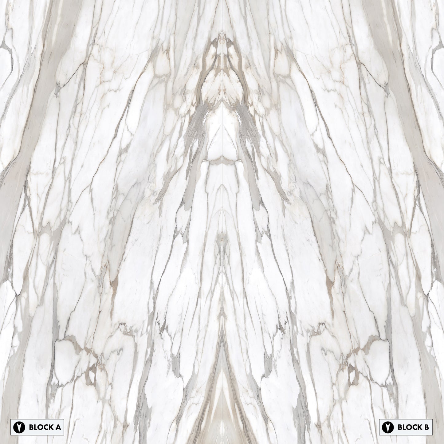 Marmi Calacatta Gold Canova Bookmatched (Full Lappato)