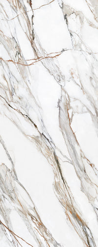 Calacatta Paonazzo Polished