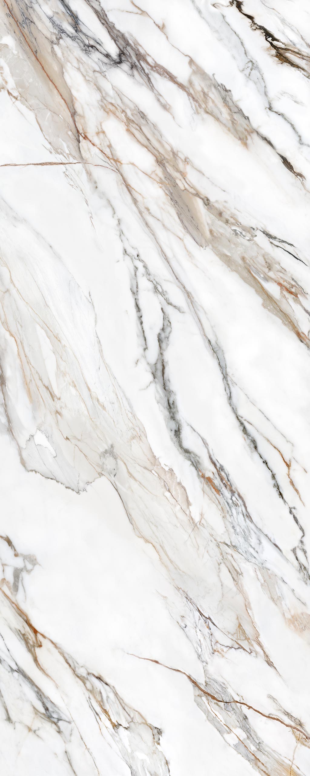 calacatta-paonazzo-honed