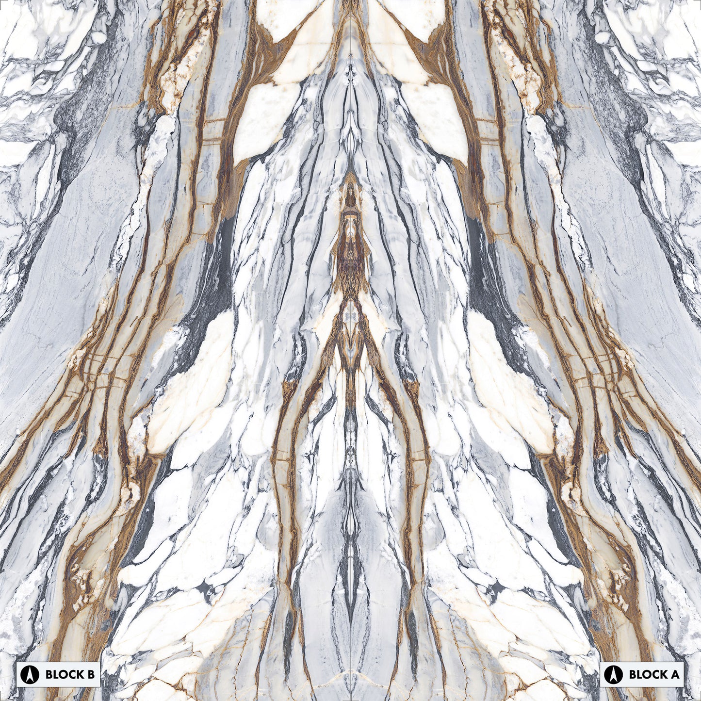 Marmi Calacatta Picasso Bookmatched (Full Lappato)