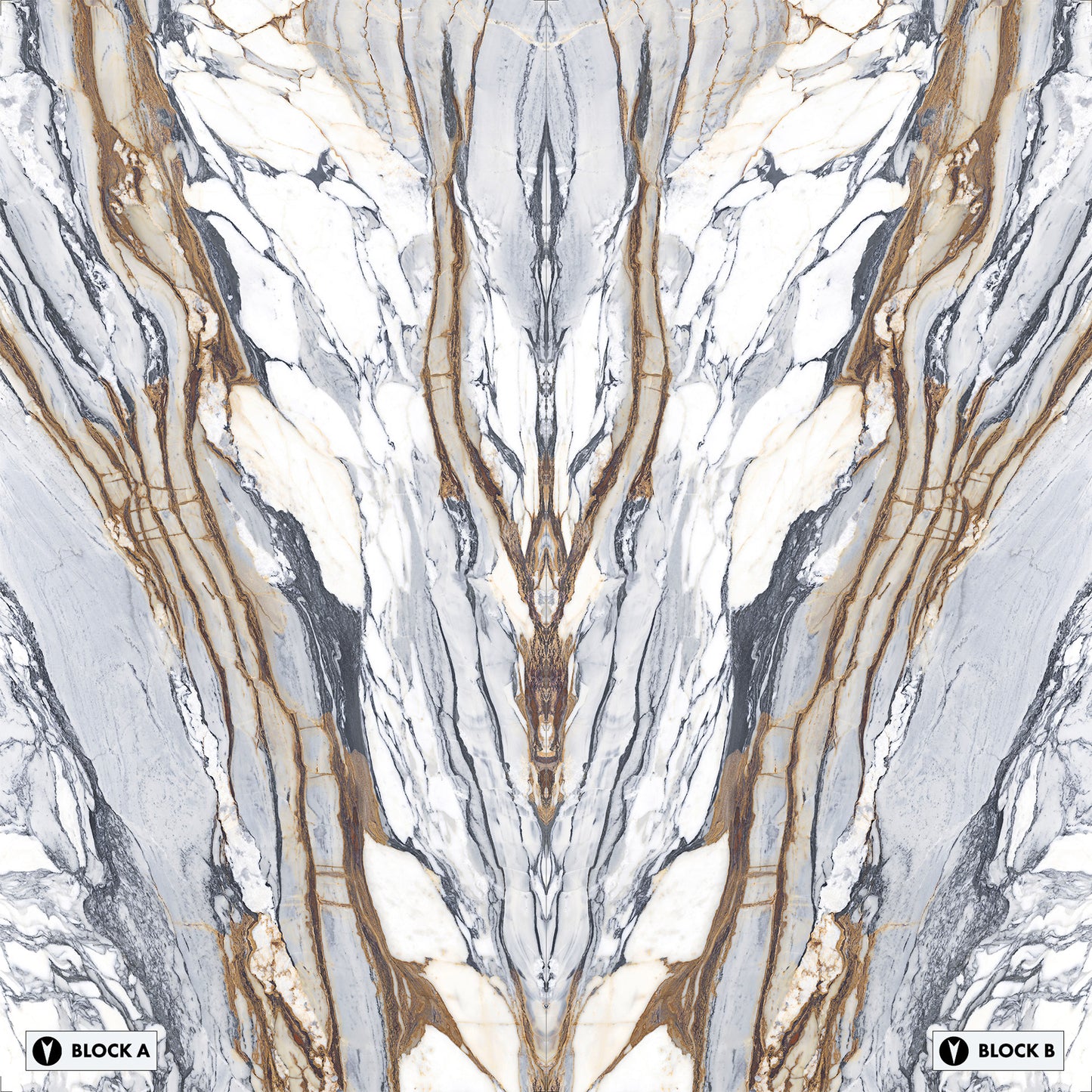 Marmi Calacatta Picasso Bookmatched (Full Lappato)
