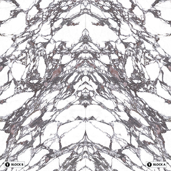 Marmi Calacatta Viola Bookmatched (Naturale)