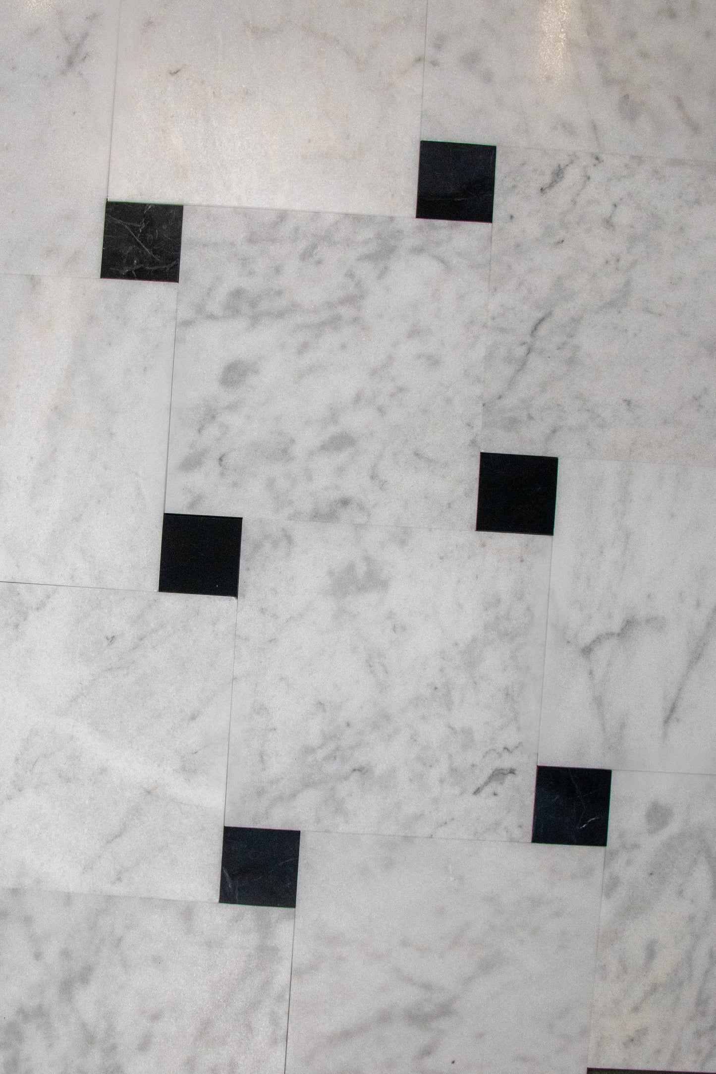 Alpi Carrara Marble Honed Square