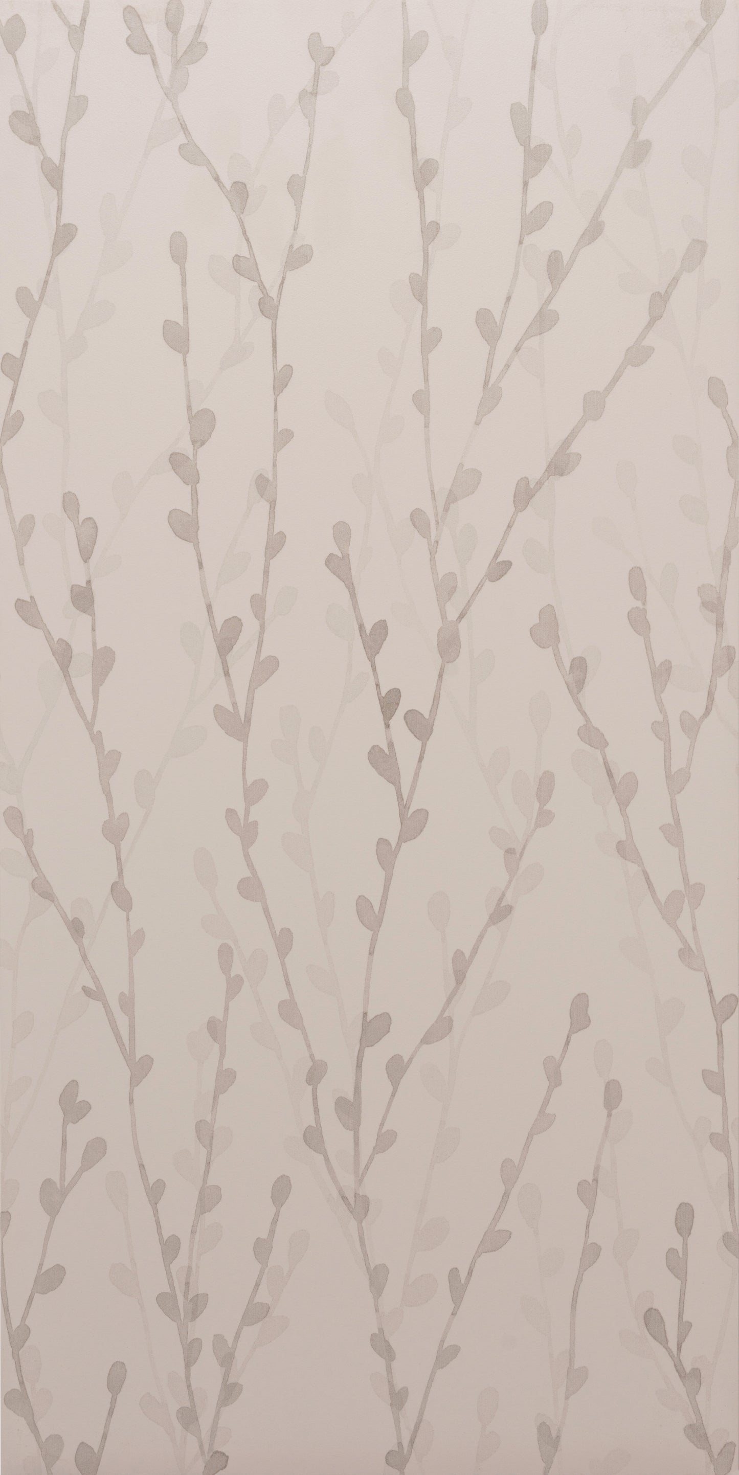 Meadow Catkin