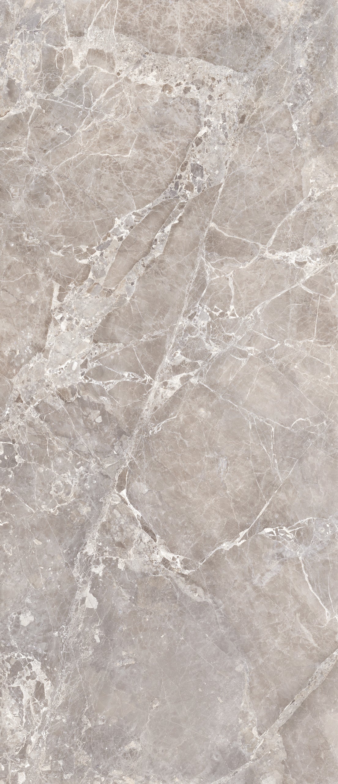 Marmi Moon Grey (Full Lappato)