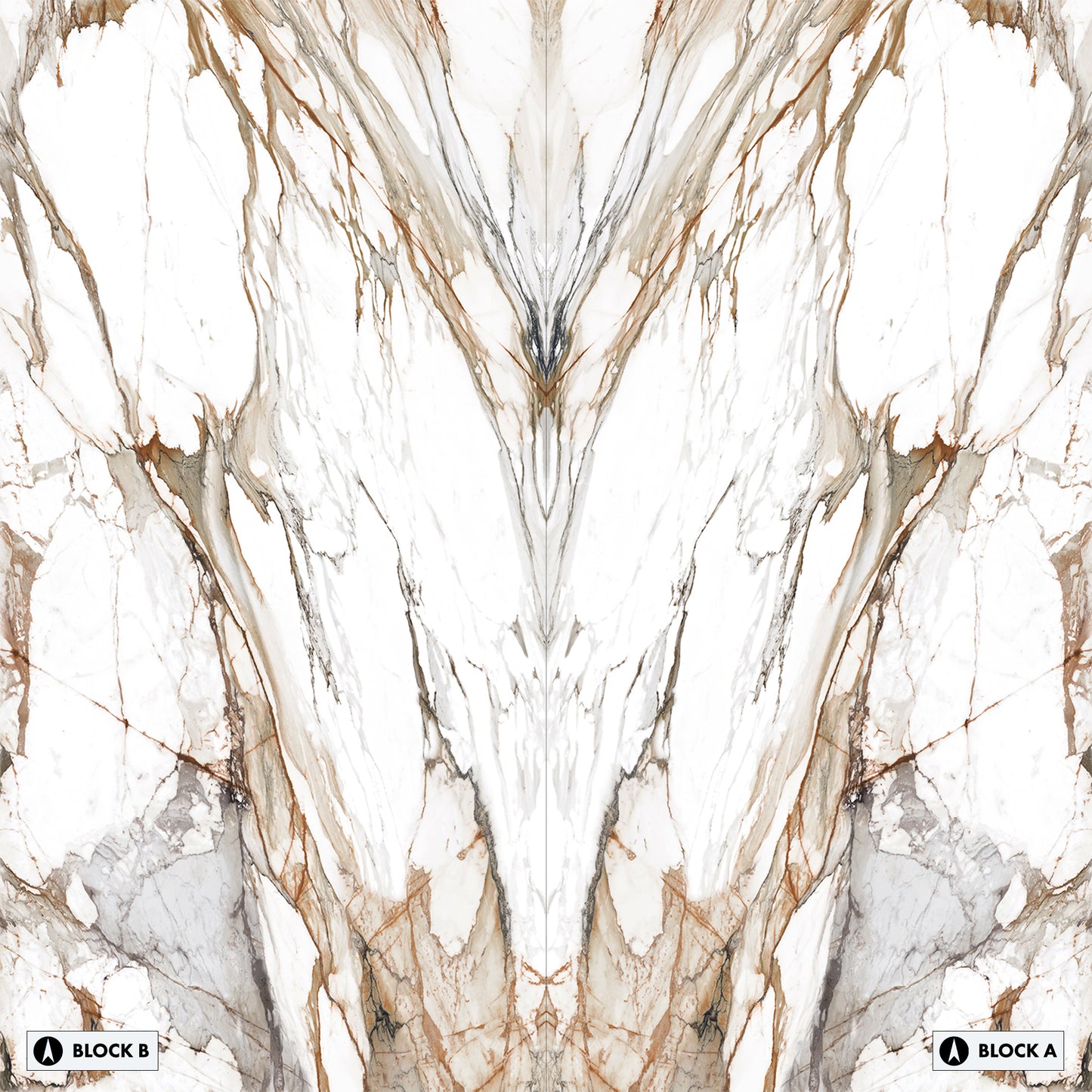 Marmi Macchia Vecchia Bookmatched (Lappato Matte)