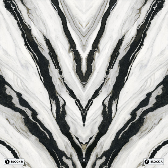 Marmi Panda Bookmatched (Lappato Matte)