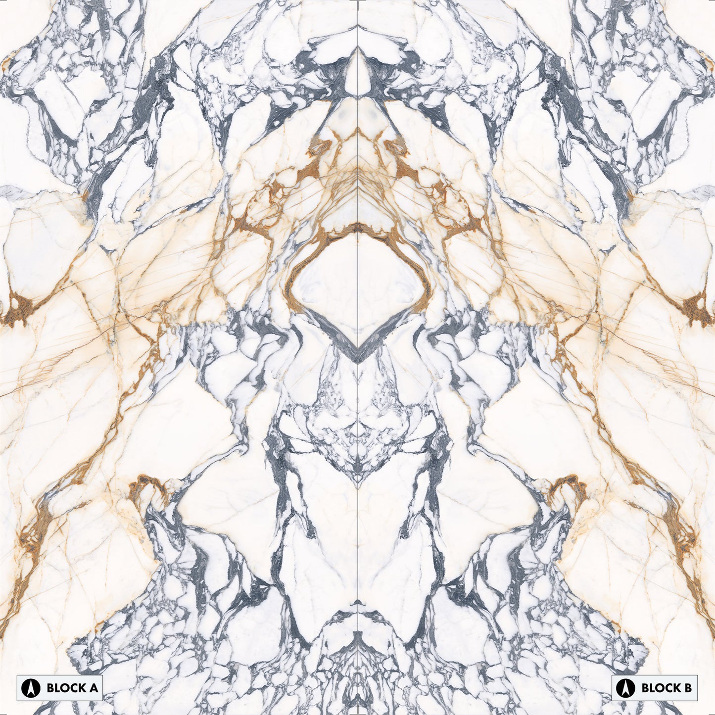 Marmi Calacatta Paonazzo Bookmatched (Full Lappato)