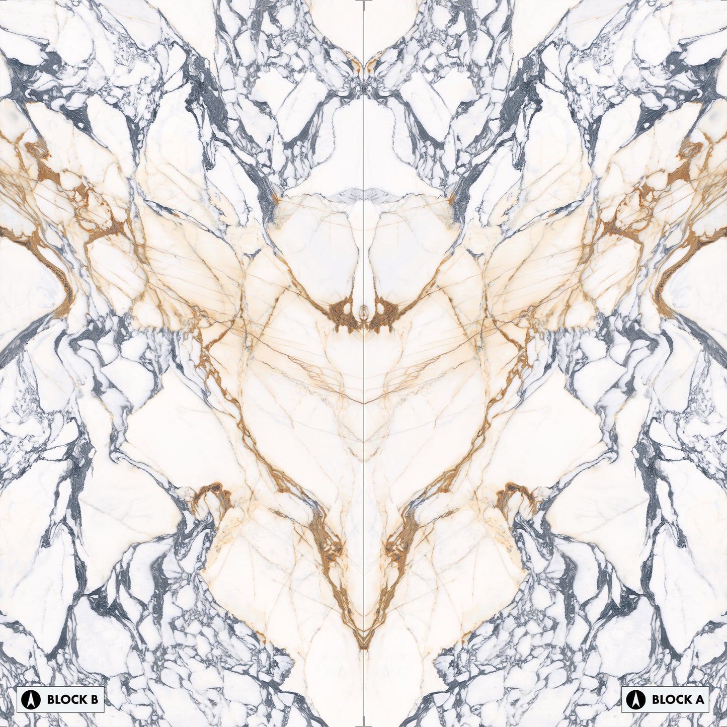 Marmi Calacatta Paonazzo Bookmatched (Full Lappato)