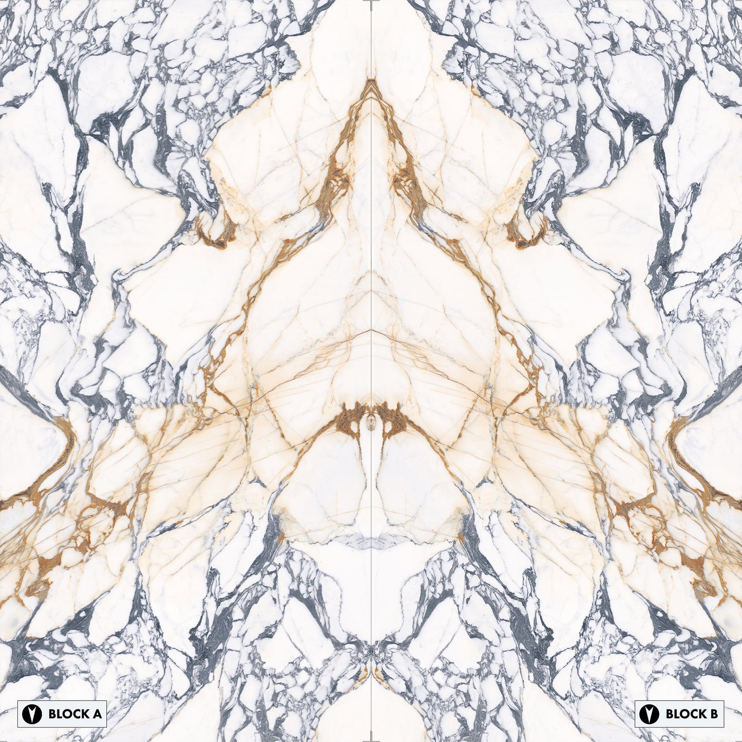 Marmi Calacatta Paonazzo Bookmatched (Full Lappato)