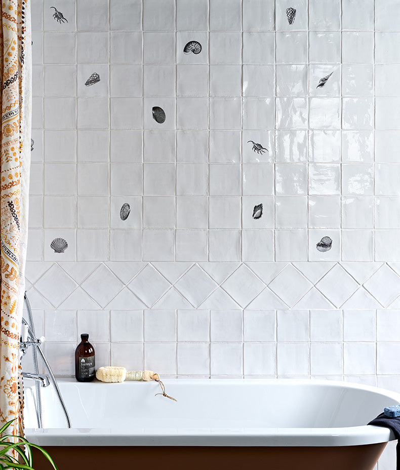 St Ives Ceramic Strombus