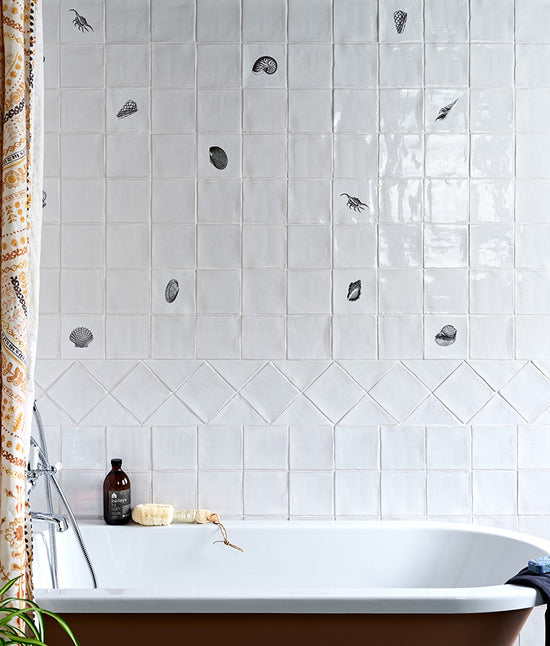 St Ives Ceramic Strombus