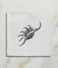 St Ives Ceramic Spider Conch
