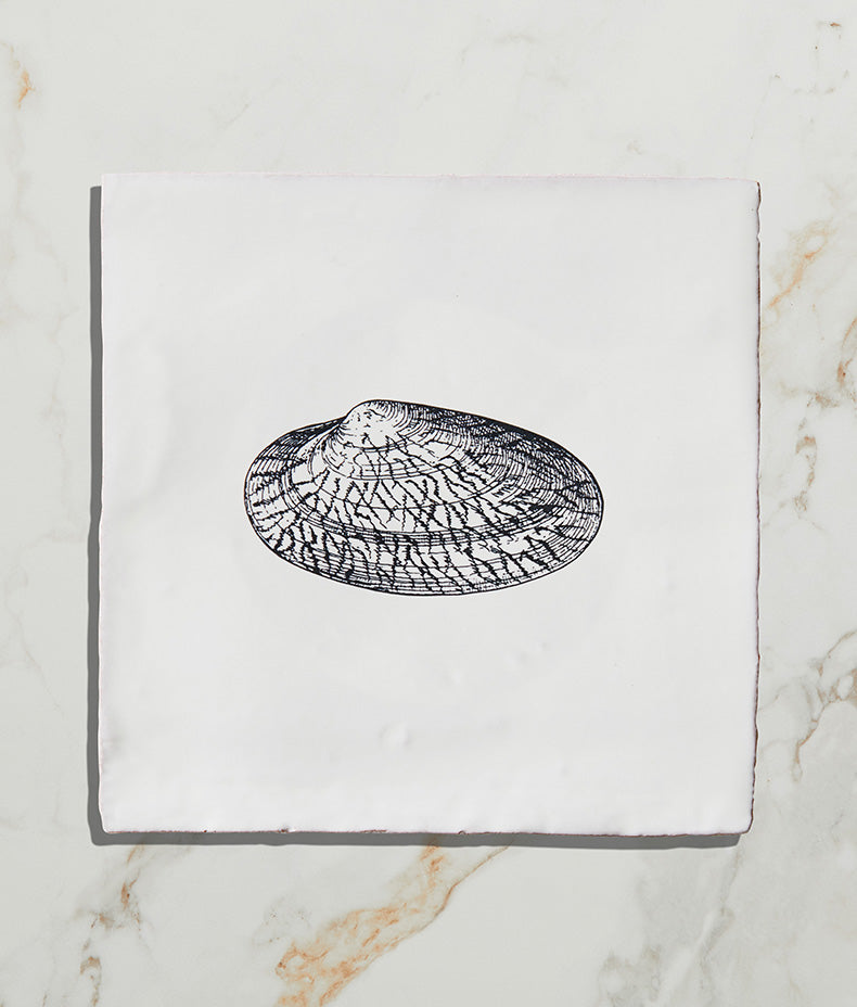 St Ives Ceramic Tellin