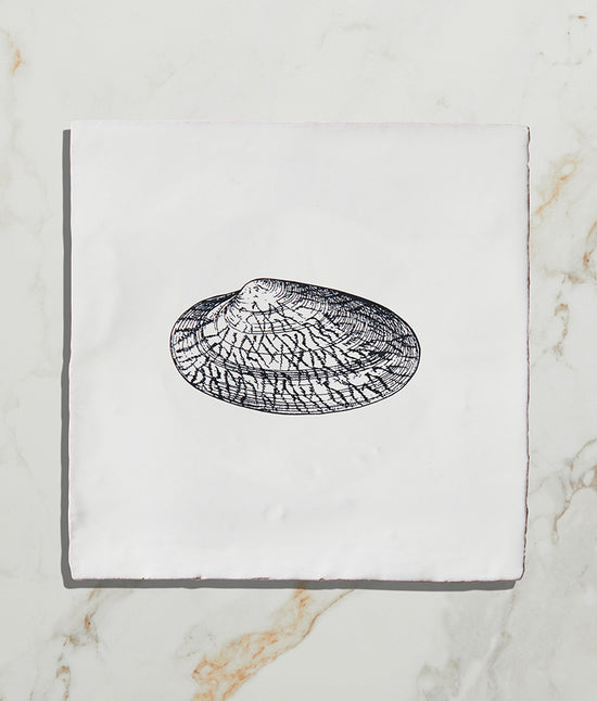 St Ives Ceramic Tellin