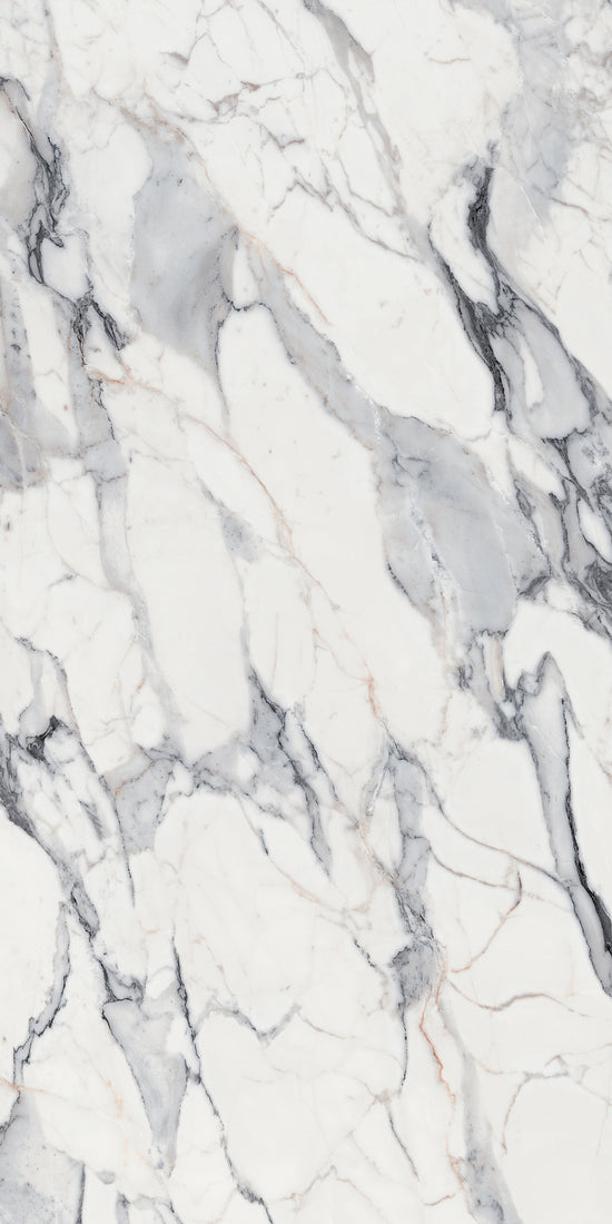 Marmi Origines Argent (Glossy)