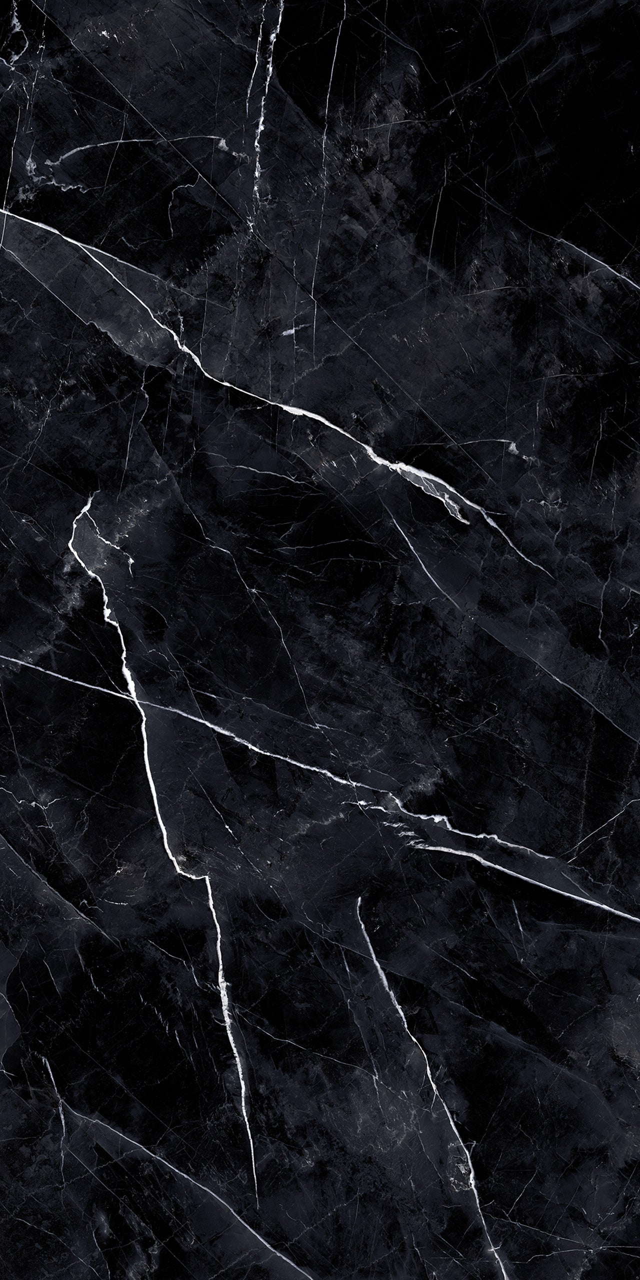 Marmi Calacatta Black (Full Lappato)