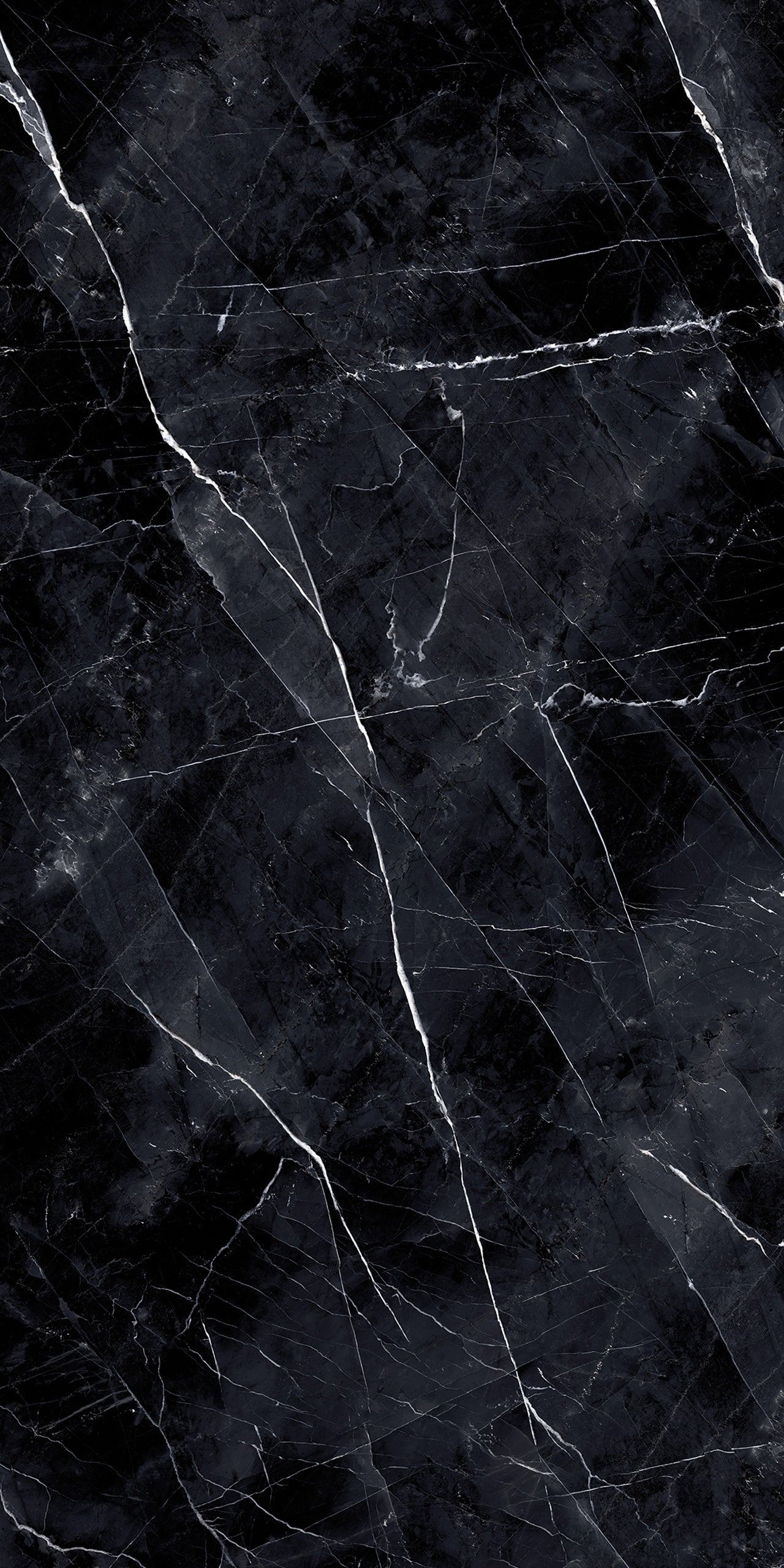 Marmi Calacatta Black (Naturale)