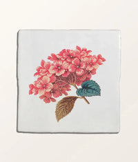 STUDIO Divine Savages The Brambles Hydrangea Belle Gloss Finish