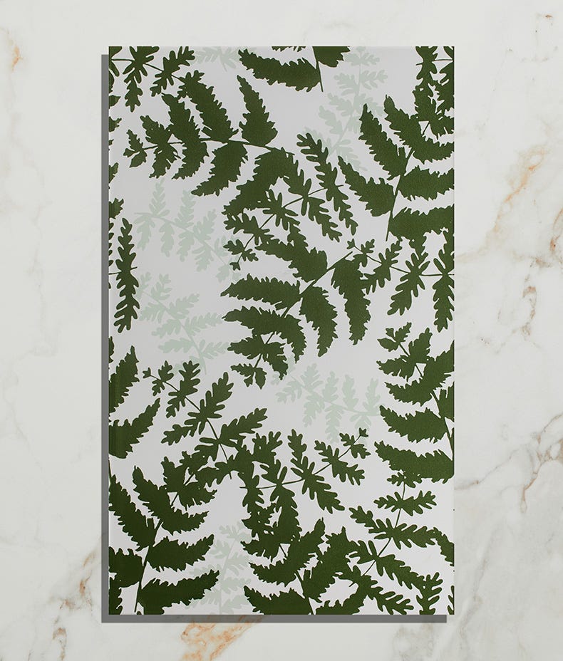 Silk Screen Ceramic Fernery 