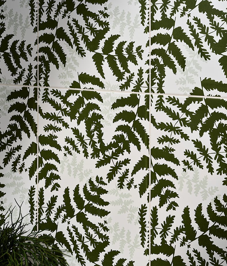 Silk Screen Ceramic Fernery 