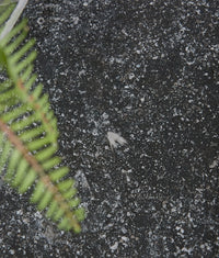 Tora Blue Tumbled Finish
