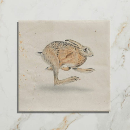 Wiltshire Hares by Joanna May (On Nuance Base) Satin Finish