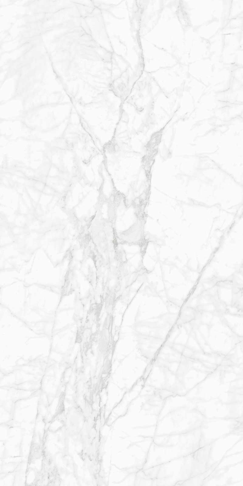 Palladio Carrara Matt