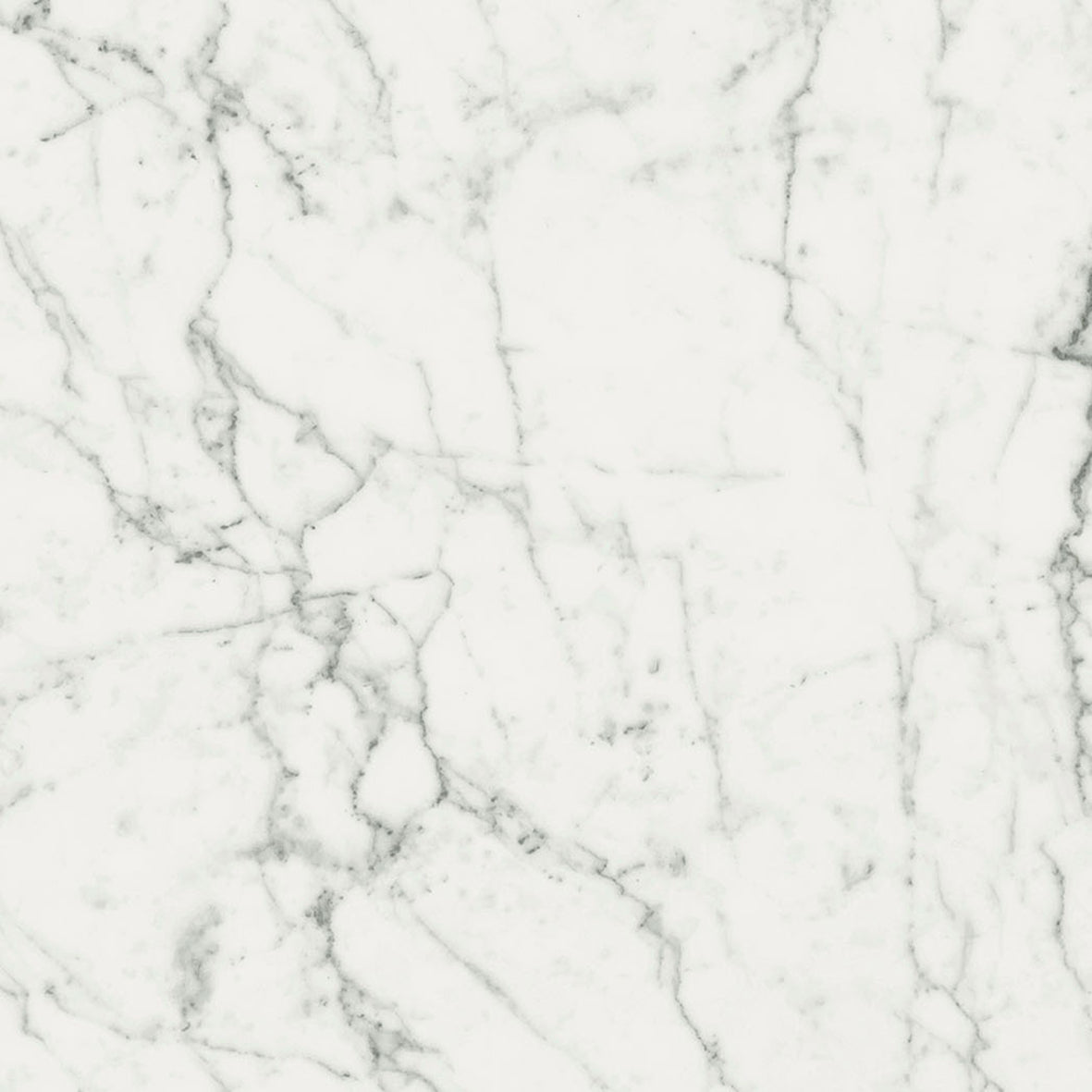 Magnifica Ghost Natural (Room Lot)
