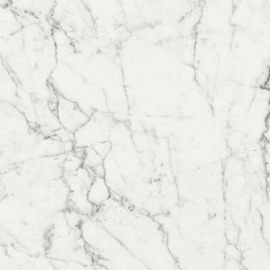 Magnifica Ghost Natural (Room Lot)