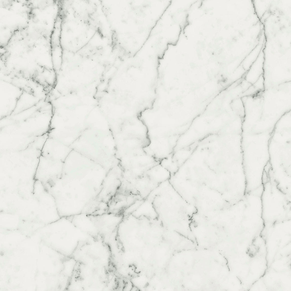 Magnifica Ghost Natural (Room Lot)