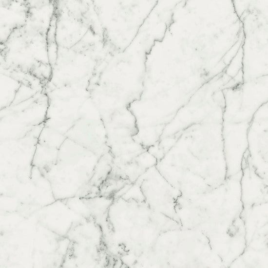 Magnifica Ghost Natural (Room Lot)