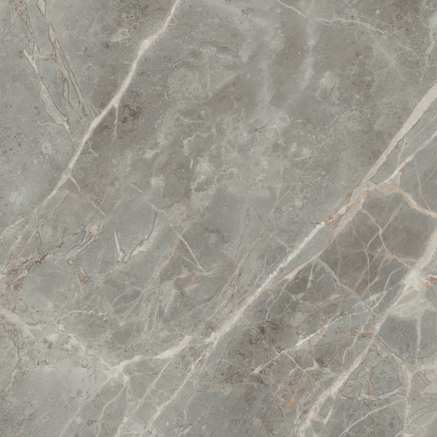 Magnifica Gris Polished (Room Lot)