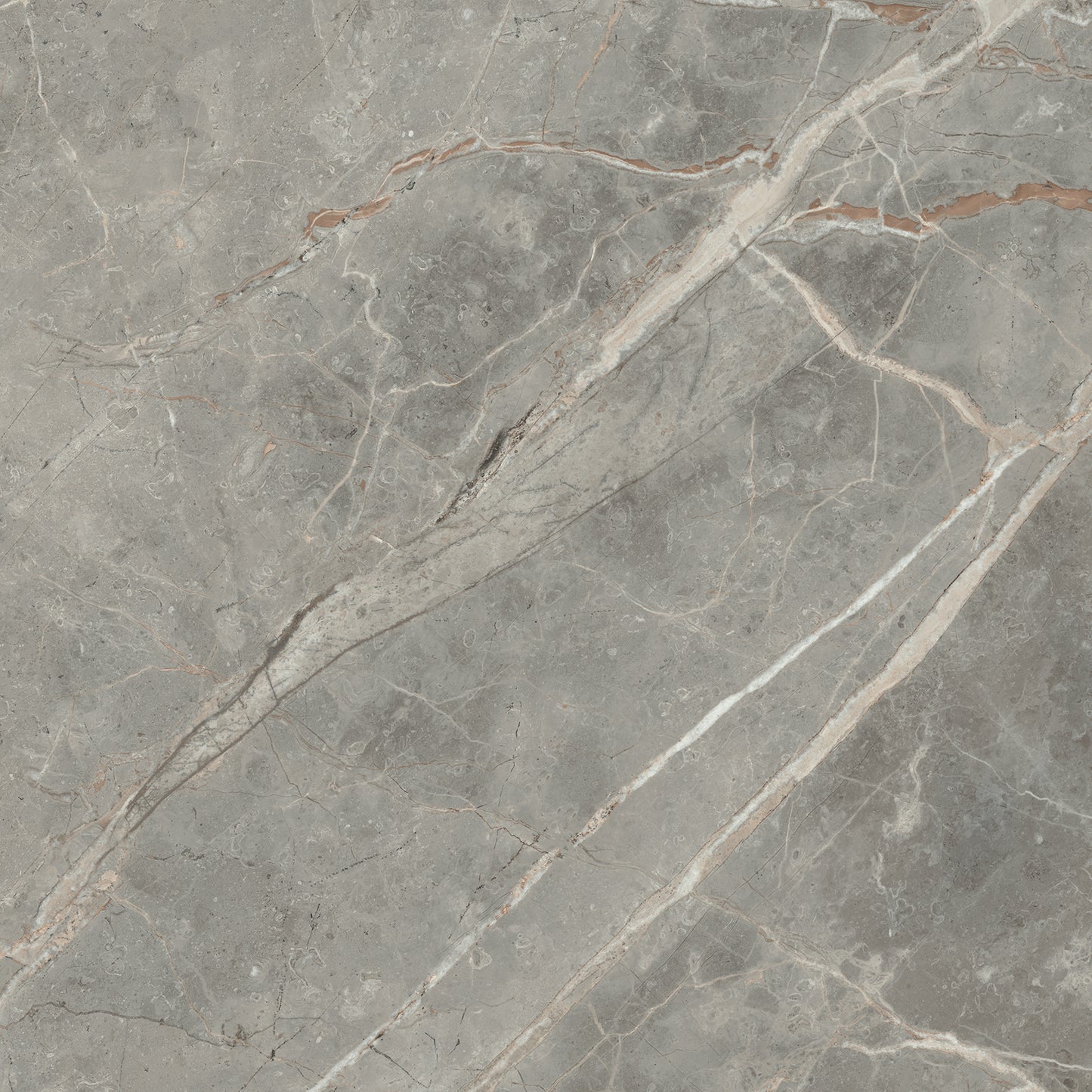 Magnifica Gris Polished (Room Lot)