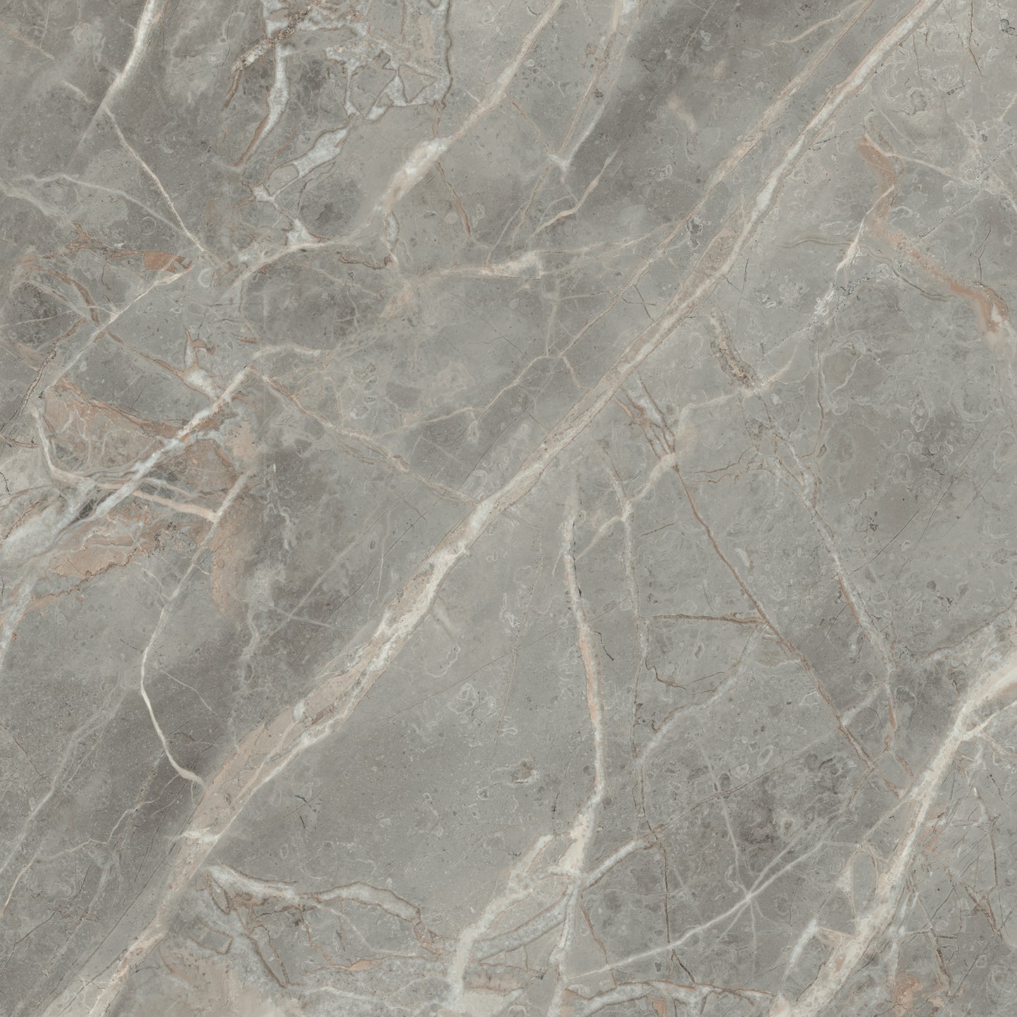 Magnifica Gris Polished (Room Lot)