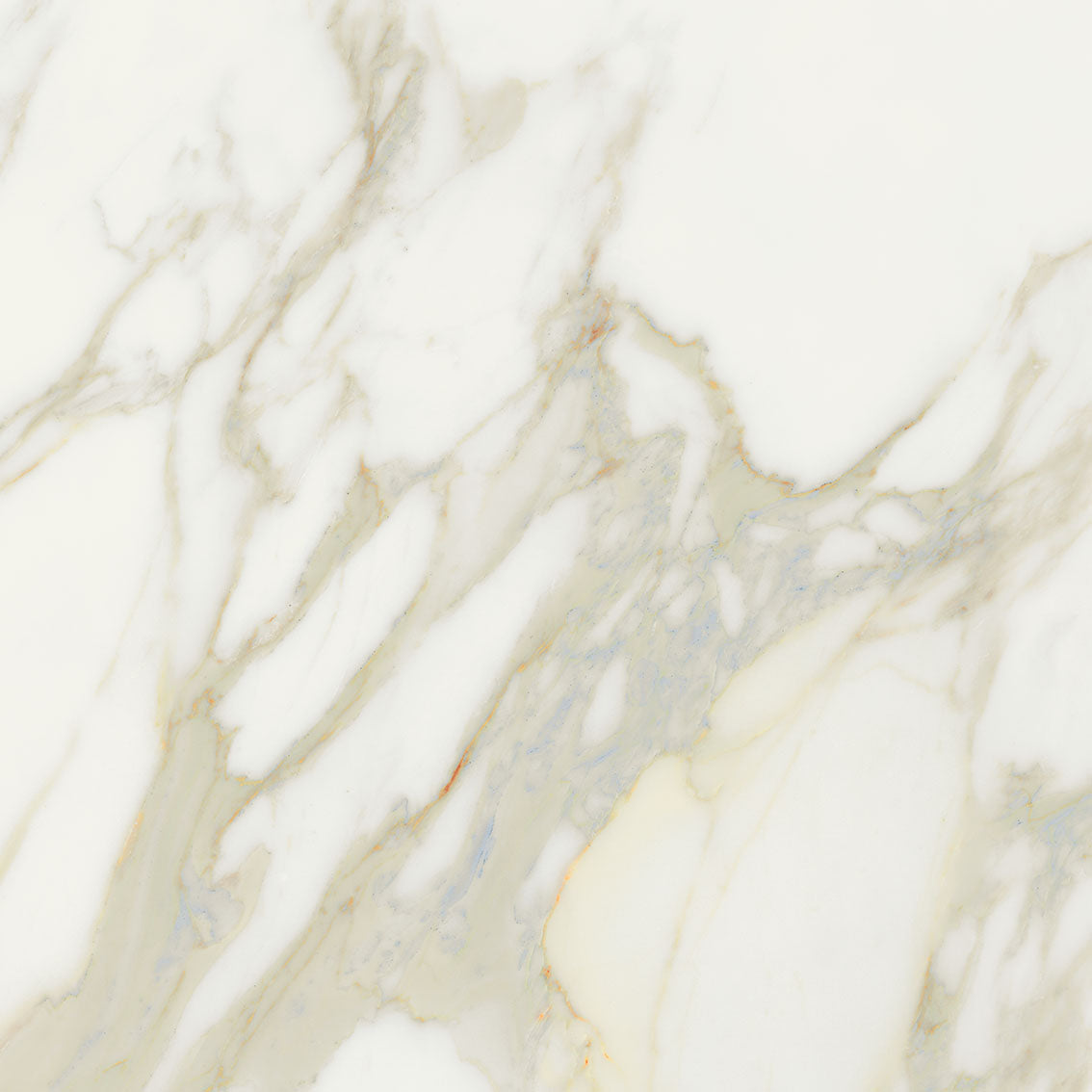 Magnifica Creme Natural (Room Lot)