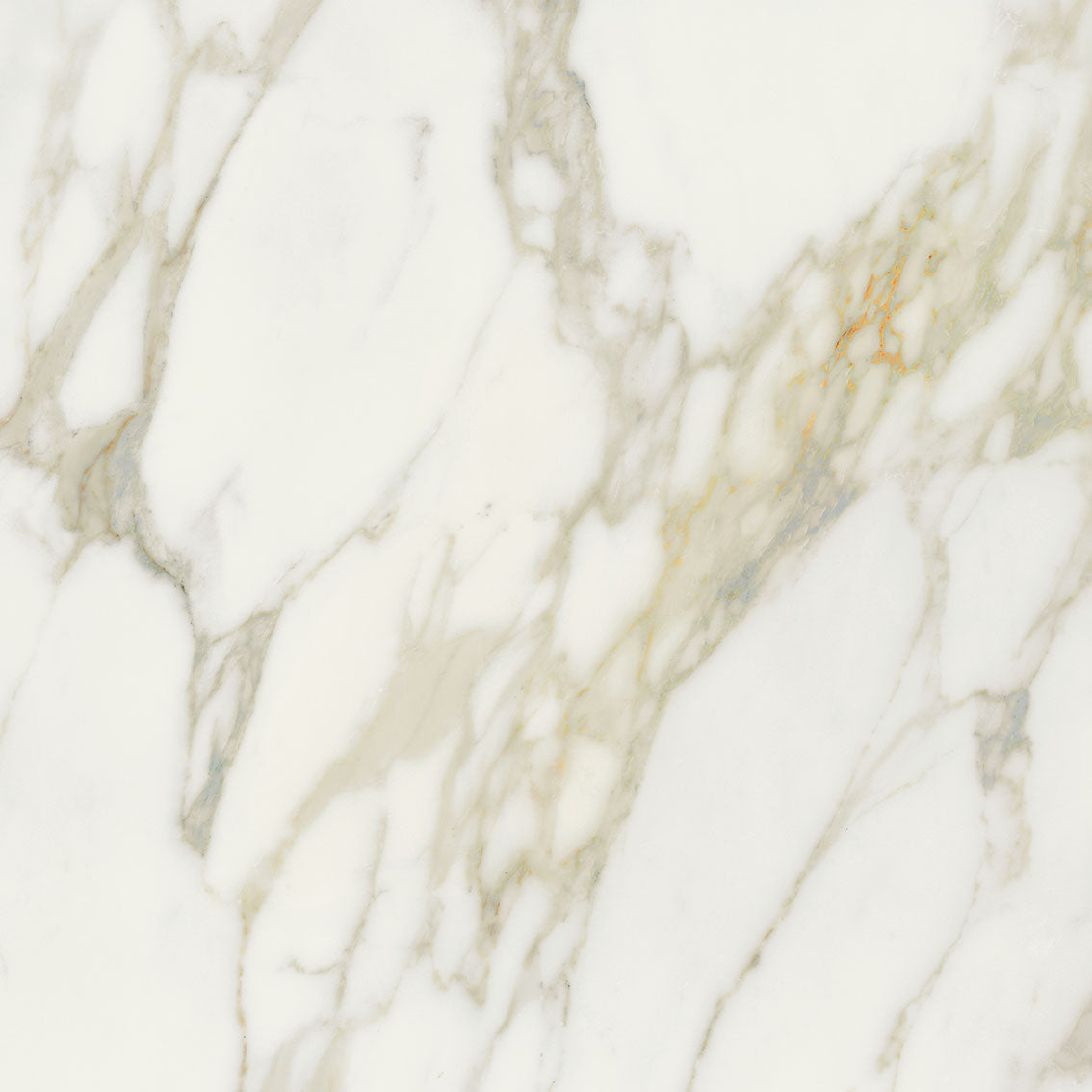 Magnifica Creme Natural (Room Lot)