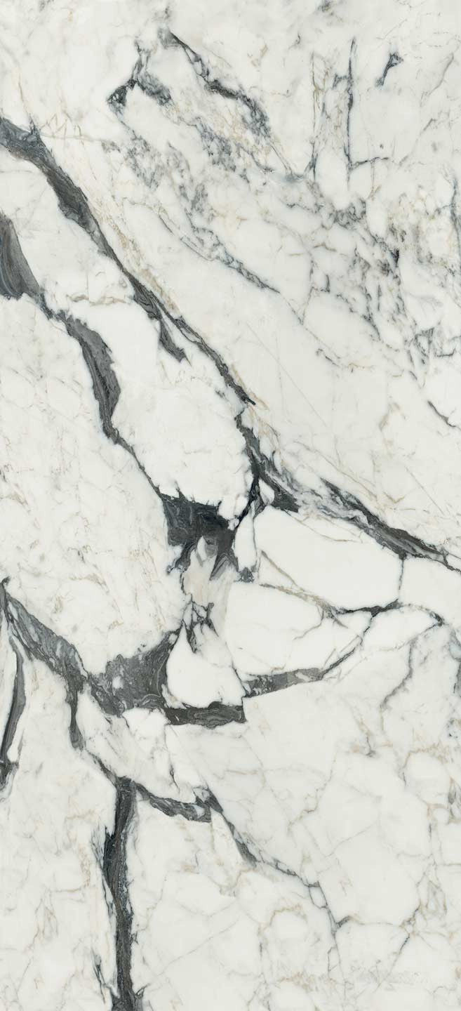 Magnifica Calacatta Alitissimo Natural (Room Lot)