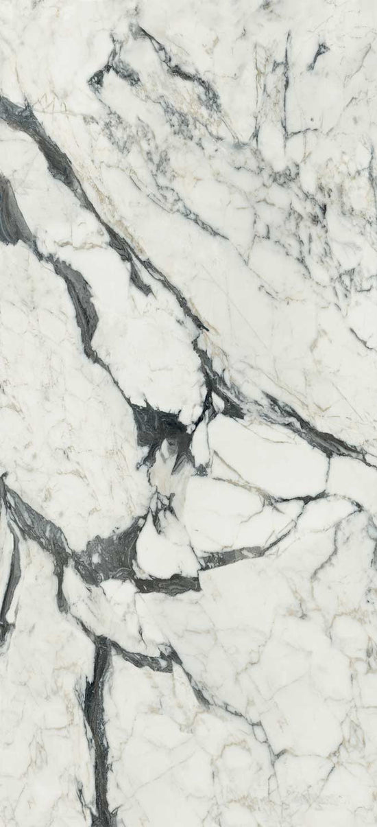 Magnifica Calacatta Alitissimo Natural (Room Lot)