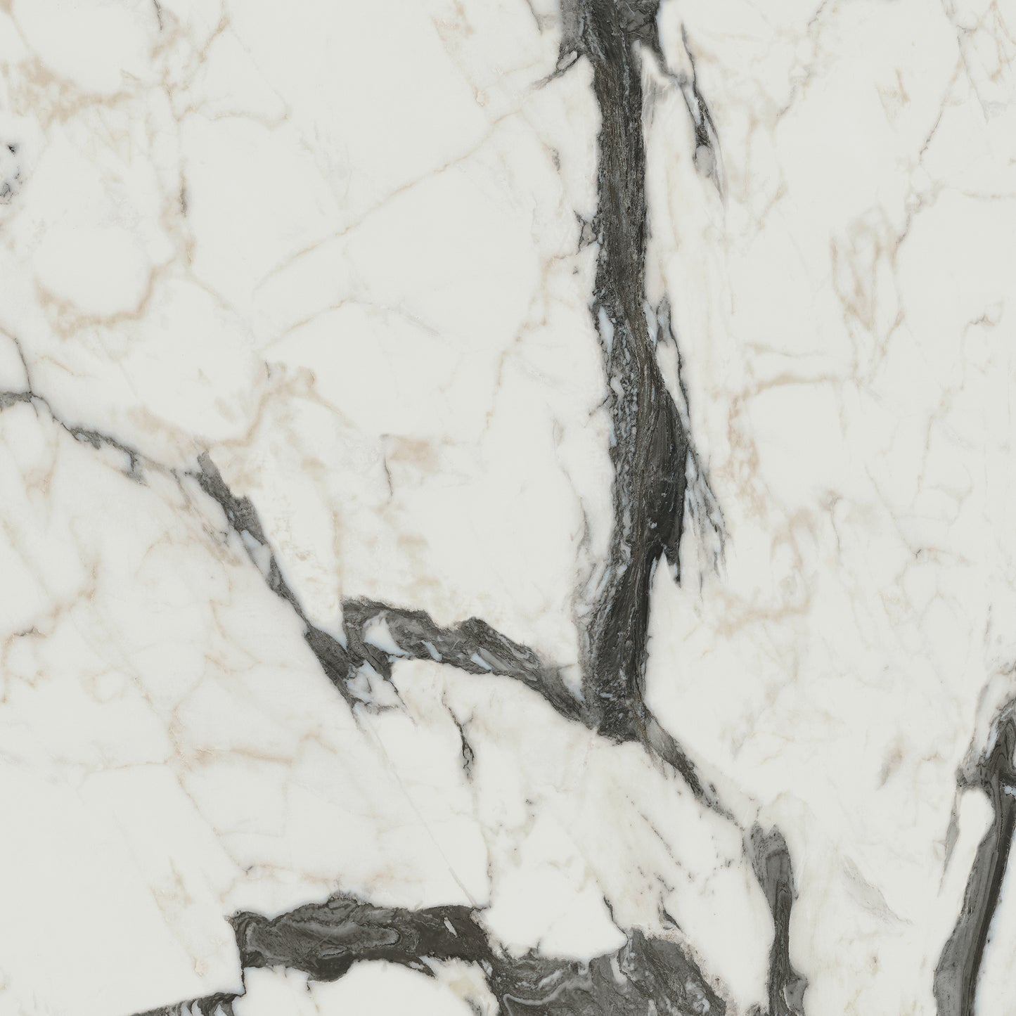 Magnifica Calacatta Alitissimo Natural (Room Lot)
