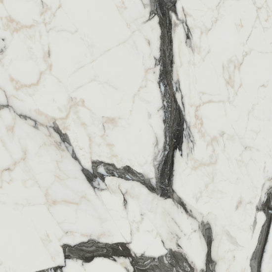 Magnifica Calacatta Alitissimo Natural (Room Lot)