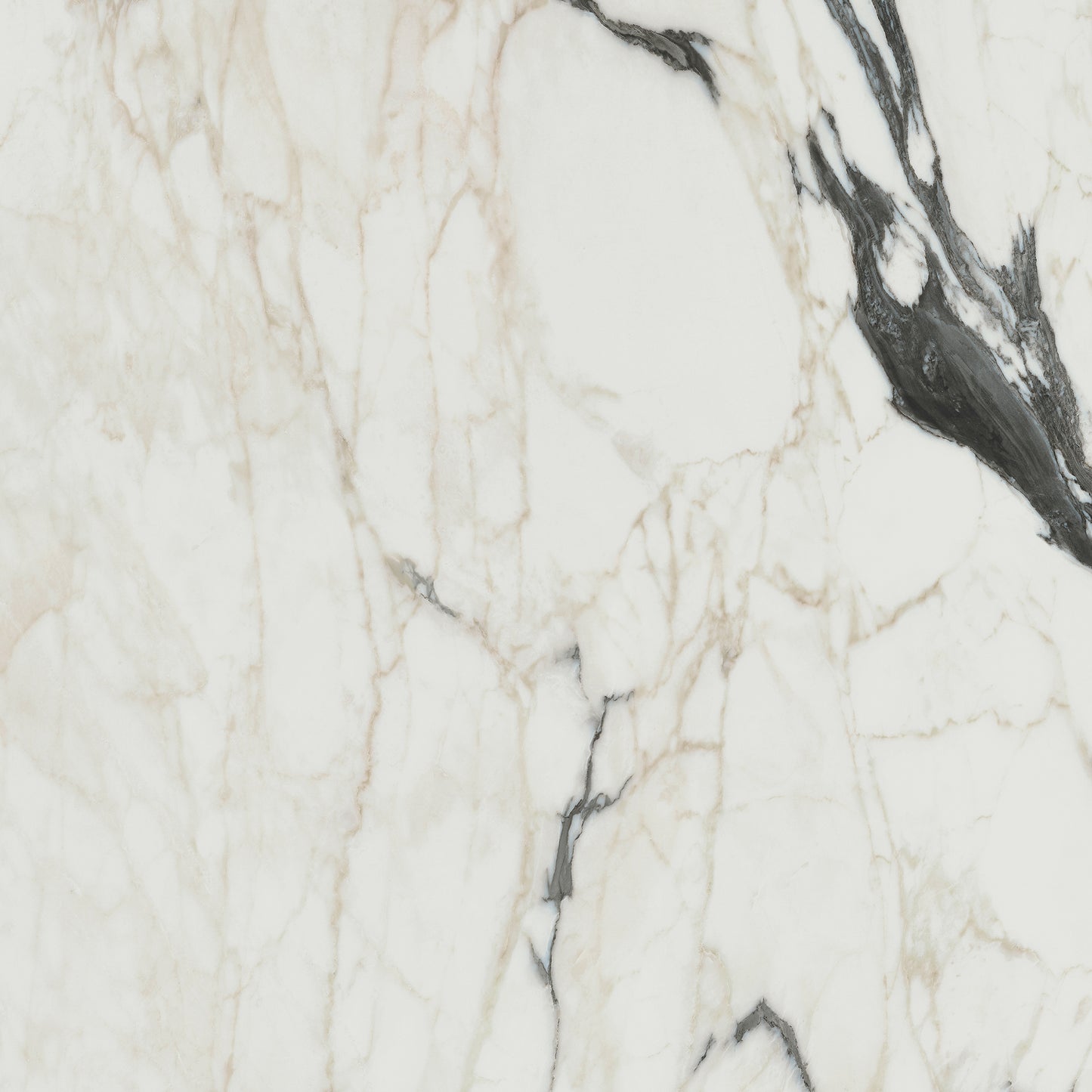 Magnifica Calacatta Alitissimo Natural (Room Lot)
