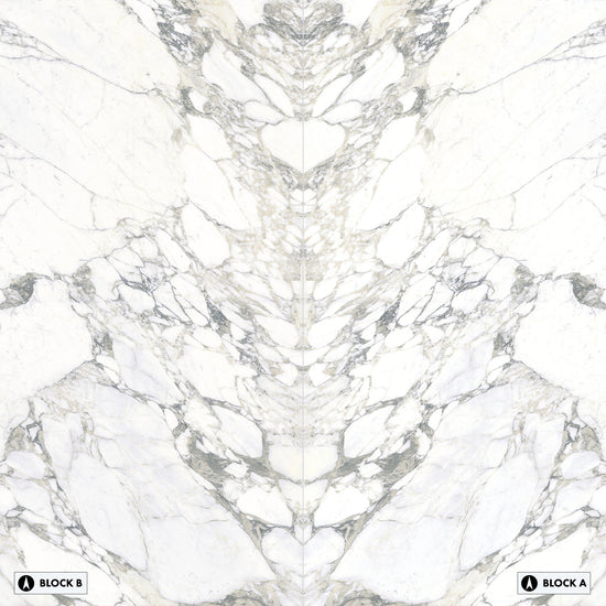 Elementa Arabescato Bookmatched Polished Slab