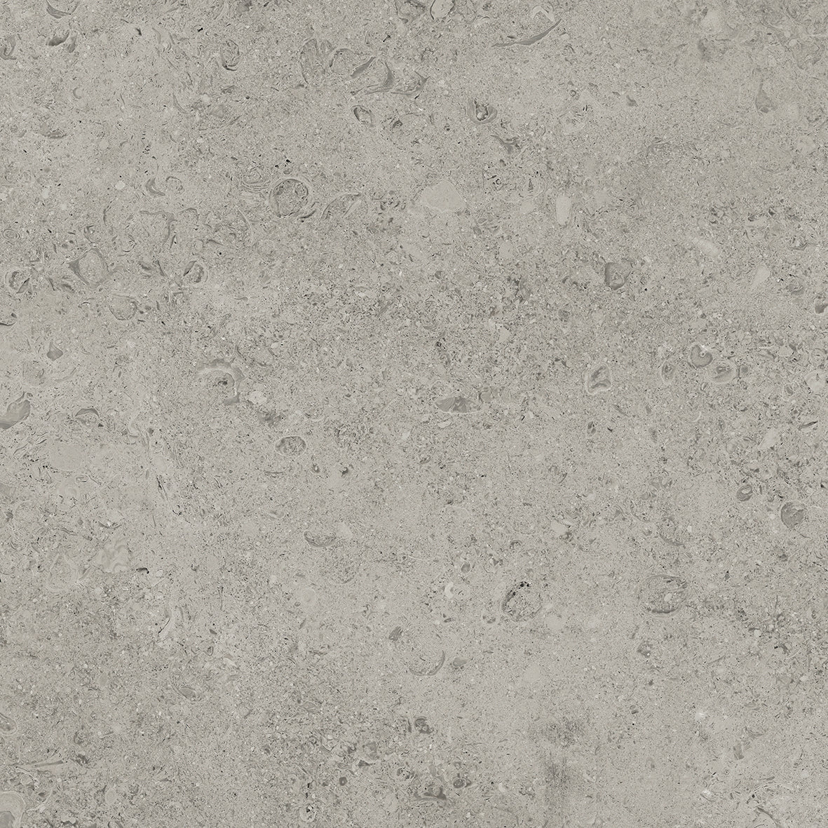 Eterna Grey
