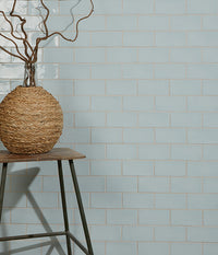 Seaton Gulls Egg Gloss Finish